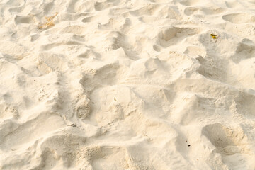 The golden beach by the sea