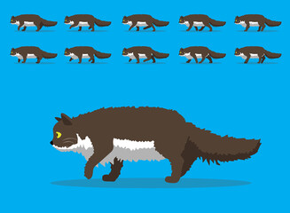 Animal Animation Sequence Cat Ragamuffin Cartoon Vector