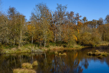 Fototapeta na wymiar Beautiful fall landscape on a sunny day, Nisqually National Wildlife Refuge, Washington State 