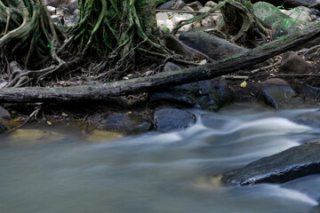 Obraz premium Forest waterfall or Forest stream. Water that falls from the stone slope.