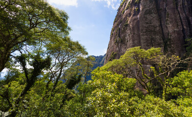 Fototapeta na wymiar Paisagem natural com floresta e parede de rocha