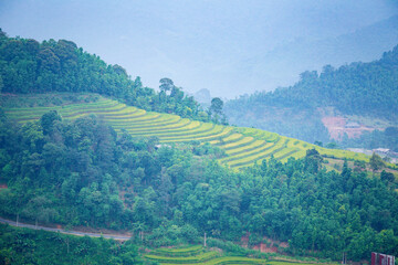 Fototapeta na wymiar Beautiful view of Rice terrace at Hoang Su Phi. Viewpoint in Hoang Su Phi district, Ha Giang province, Vietnam
