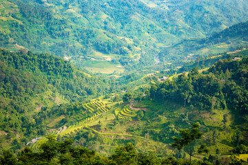 Beautiful view of Rice terrace at Hoang Su Phi. Viewpoint in Hoang Su Phi district, Ha Giang province, Vietnam