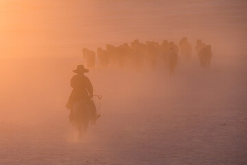 Obraz na płótnie Canvas Herdsmen running with group of horses on the snowfields of the grassland in Inner Mongolia, China, in winter, in early morning.