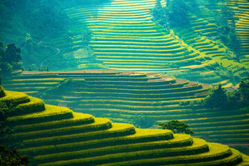 Green Terraced Rice Field in Hoang Su Phi. Viewpoint in Hoang Su Phi district, Ha Giang province,...