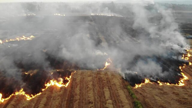 Aerial view rice farm burn after harvest environment ploblem