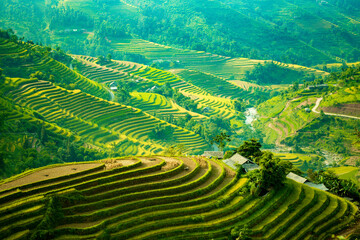 Fototapeta na wymiar Beautiful scenery of rice terraces in Hoang Su Phi, Ha Giang province in Vietnam. Rice fields ripe in the highlands in the northwest