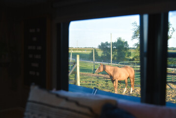 Horses at a farm in Illinois 