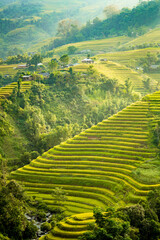 Beautiful view of Rice terrace at Hoang Su Phi. Viewpoint in Hoang Su Phi district, Ha Giang...