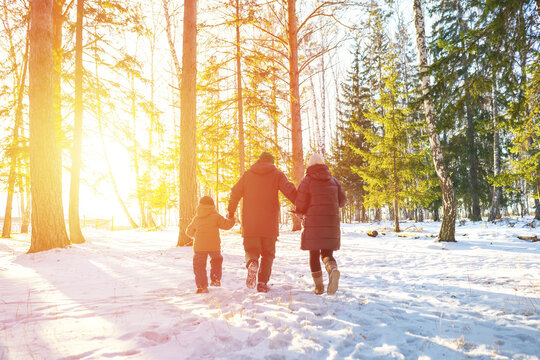 Family Walking In The Woods