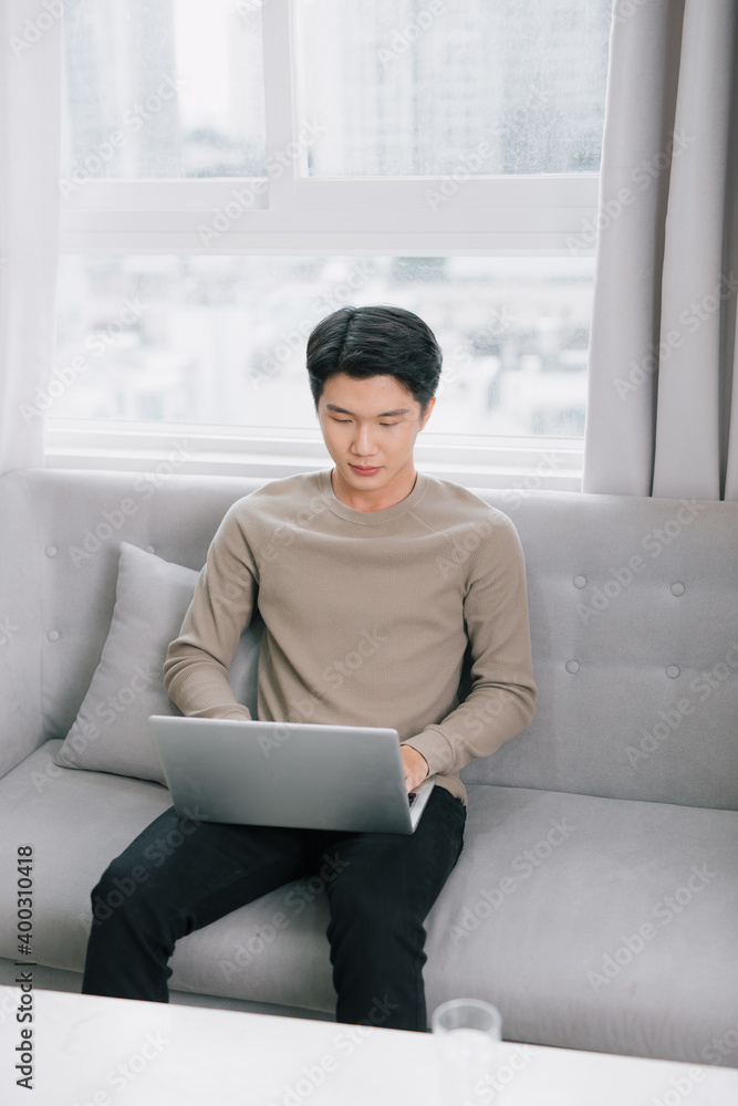 Poster young man smiling as he reads the screen of a laptop computer while relaxing on a comfortable couch 