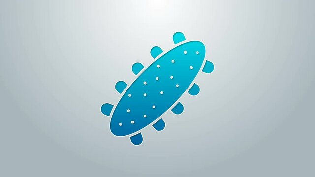 Blue line Sea cucumber icon isolated on grey background. Marine food. 4K Video motion graphic animation