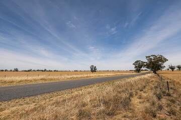 Fototapeta na wymiar Country road through farmland in Central Victoria, Australia