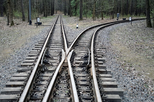 Railroad In The Forest. Perspective. The Paths Diverge. Turn