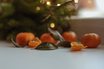 still life with fruits
