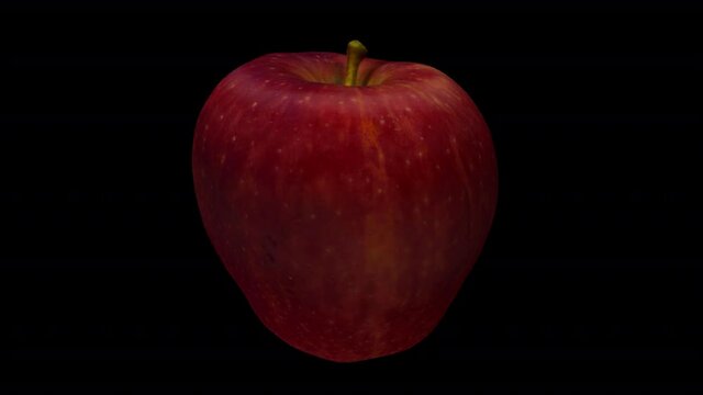 Realistic render of a rotating "Red Delicious" Apple on transparent background (with alpha channel). The video is seamlessly looping, and the object is 3D scanned from a real fruit.
