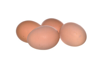 chicken egg isolated on white background