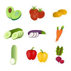 Colorful Vegetable icon design Illustration