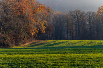 autumn fall lawn landscape