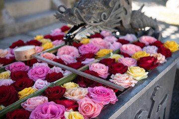 【秋】柳谷観音　花手水