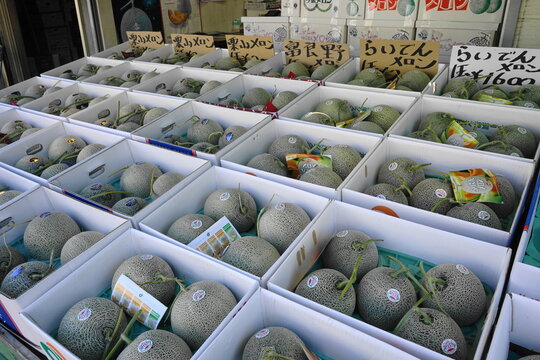 Variety of fresh fruit, Melon, in cardboard crates, on sale at a market stall in Hakodate, Hokkaido - 箱に入ったメロン 北海道 函館