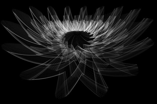 Images of abstract elements on a black background that create the image of a white lotus flower.