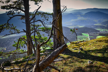 Hohe Wand, Niederösterreich