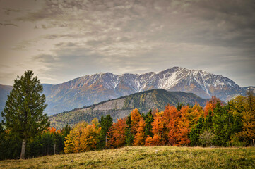 Dürre Leiten mit Blick auf den Schneeberg, Niederösterreich
