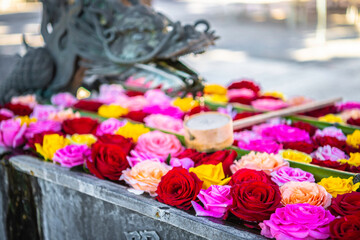 【秋】柳谷観音　花手水