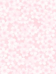 やさしいイメージの満開の桜