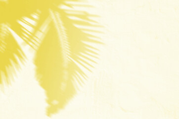 Fototapeta na wymiar Summer Background Of Shadows Branch Leaves On a Wall. Illuminating Pantone Color Of The Year 2021