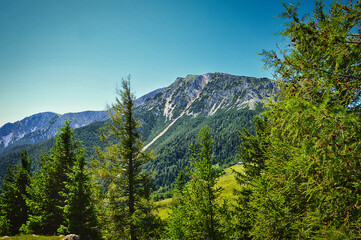 Dürre Leiten mit Blick zum Schneeberg, Niederösterreich
