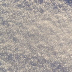 Fototapeta premium the backdrop of the cold snow