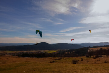 three paraglider float in a landscape with meadow and mountains