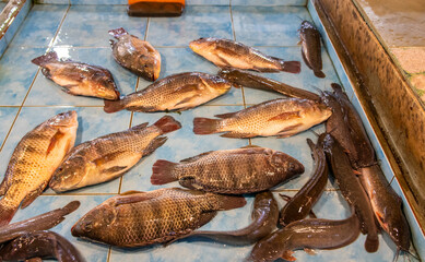 Seafood from Naklua Thailand Southeast Asia