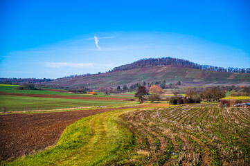 A beautiful scenery of rural landscapes. Meadow plantations on the hills and plains