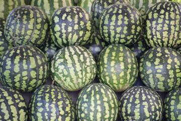 Close up of green and striped water melones