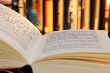 Nahaufnahme von einem aufgeschlagenen Buch