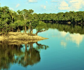 Rio Uinini em Barcelos, Amazonas.