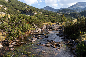Banderitsa River at Pirin Mountain, Bulgaria