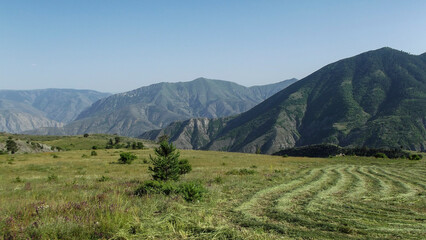 Fototapeta premium landscape with trees and mountains