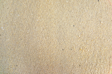 Sand texture. Sandy beach background. Top view