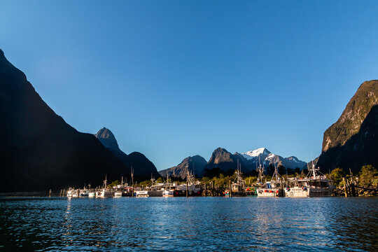 the harbor of the milford sound