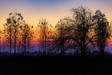 Tramonto © Pasquale D'Anna