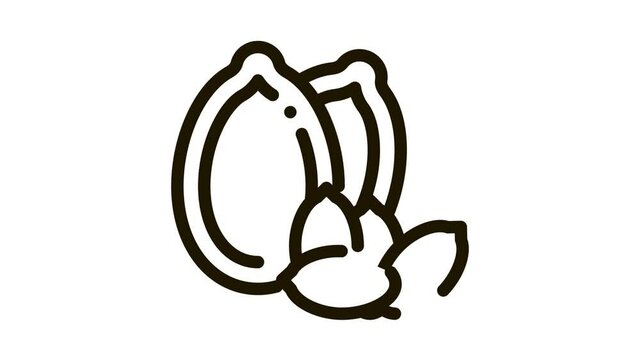 pumpkin nut Icon Animation. black pumpkin nut animated icon on white background