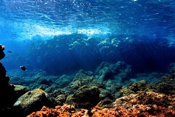 Fototapeta na wymiar Beautiful Underwater landscape