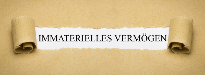 Immaterielles Vermögen