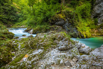 Breathtaking view over colorful Radovna river in Vintgar Gorge, Slovenia.  Long exposure.