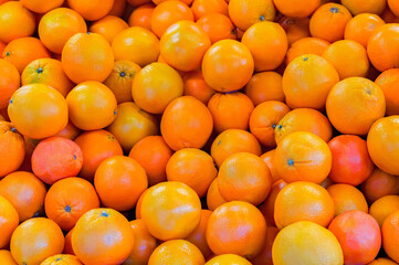 Bright background with a lot of round orange tangerines