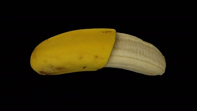 Realistic render of a rotating half peeled banana (Cavendish variety) on transparent background (with alpha channel). The video is seamlessly looping, and the object is 3D scanned from a real banana.
